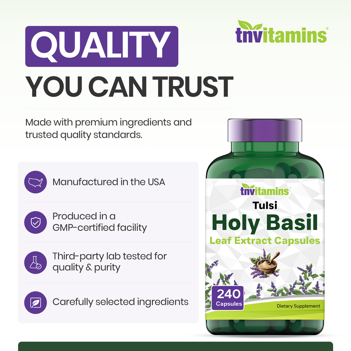 Tulsi Holy Basil Capsules (1600 MG - 240 Capsules) | May Promote Stress & Frustration Relief* | Tulsi Holy Basil Leaf Powder Extract | Adaptogenic, & Ayurvedic Herb | TNVitamins
