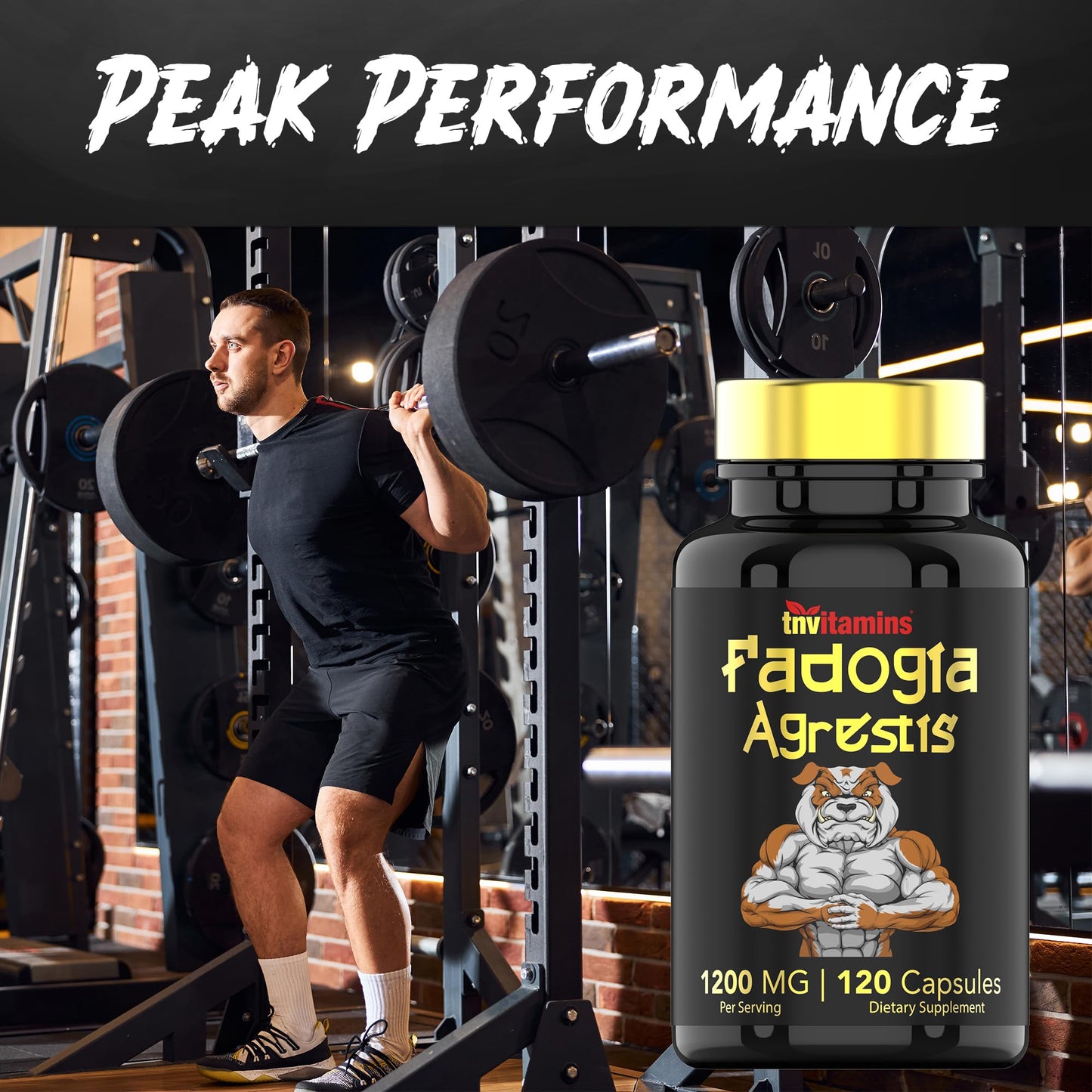 Fadogia Agrestis: 1200mg - 120 Capsules | Ultra-Potent Fadogia Agrestis Extract Supplement for Men | Energy, Power, Strength, Athletic Performance, & Sports Nutrition | Non-GMO | Made in the USA!