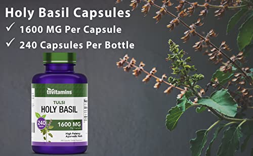 Tulsi Holy Basil Capsules (1600 MG - 240 Capsules) | May Promote Stress & Frustration Relief* | Tulsi Holy Basil Leaf Powder Extract | Adaptogenic, & Ayurvedic Herb | TNVitamins