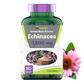 Echinacea Capsules (1500 MG  - 180 Capsules) | Supports Health & Well-Being | Echinacea Root Herbal Extract Supplement | Produced in The USA | TNVitamins
