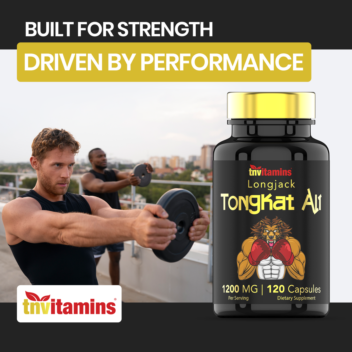 Tongkat Ali For Men: 1200 mg  -  120 Capsules | Also Known As Longjack Root | 100% All-Natural & Ultra Potent Tongkat Ali Supplement | Energy, Power, Strength, Athletic Performance, & Sports Nutrition
