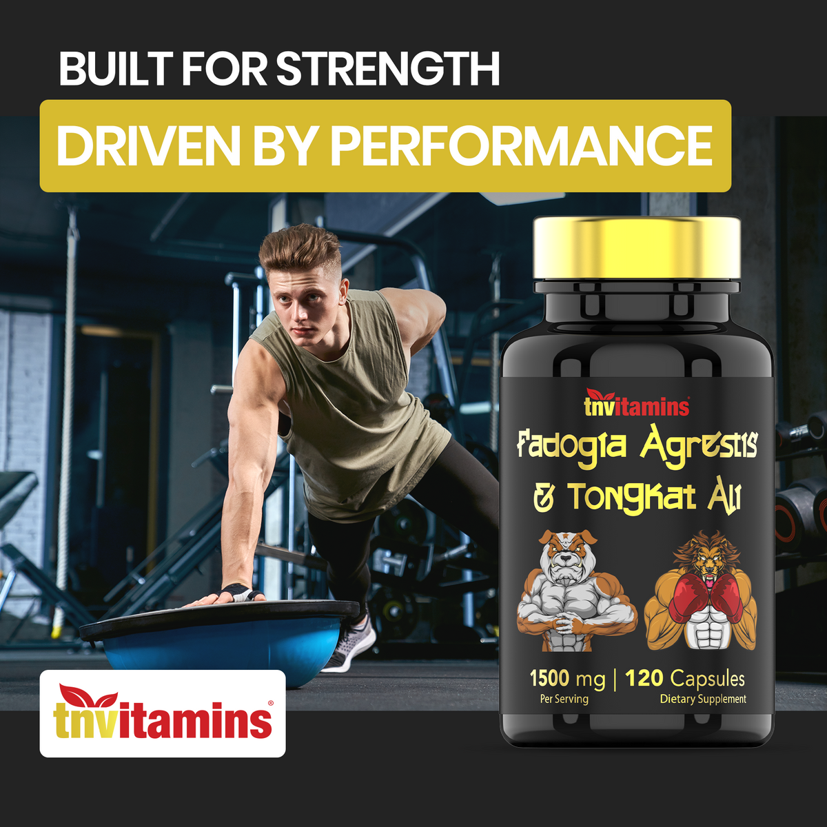 Fadogia Agrestis & Tongkat Ali Supplement: 1500mg - 120 Capsules | 750mg Each of Tongkat Ali (Longjack) & Fadogia | Ultra-Potent Formula For Men For Sports Nutrition, Athletic Performance, & Muscles*