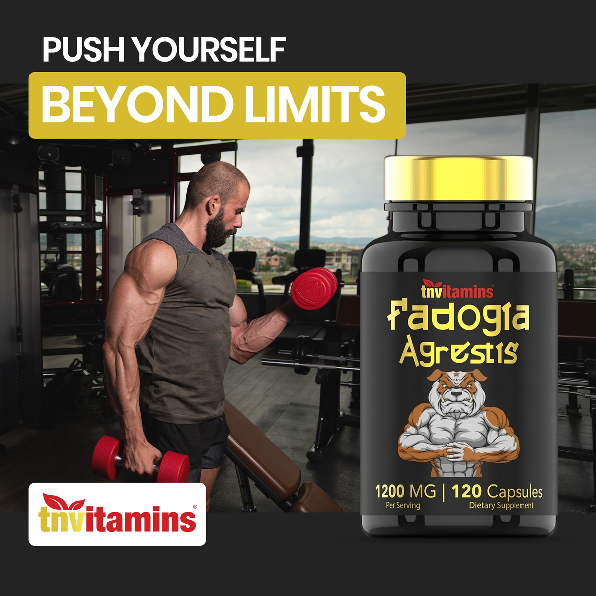 Fadogia Agrestis: 1200mg - 120 Capsules | Ultra-Potent Fadogia Agrestis Extract Supplement for Men | Energy, Power, Strength, Athletic Performance, & Sports Nutrition | Non-GMO | Made in the USA!