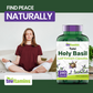 Tulsi Holy Basil Capsules (1600 MG  -  240 Capsules) | May Promote Stress & Frustration Relief* | Tulsi Holy Basil Leaf Powder Extract | Adaptogenic, & Ayurvedic Herb | TNVitamins
