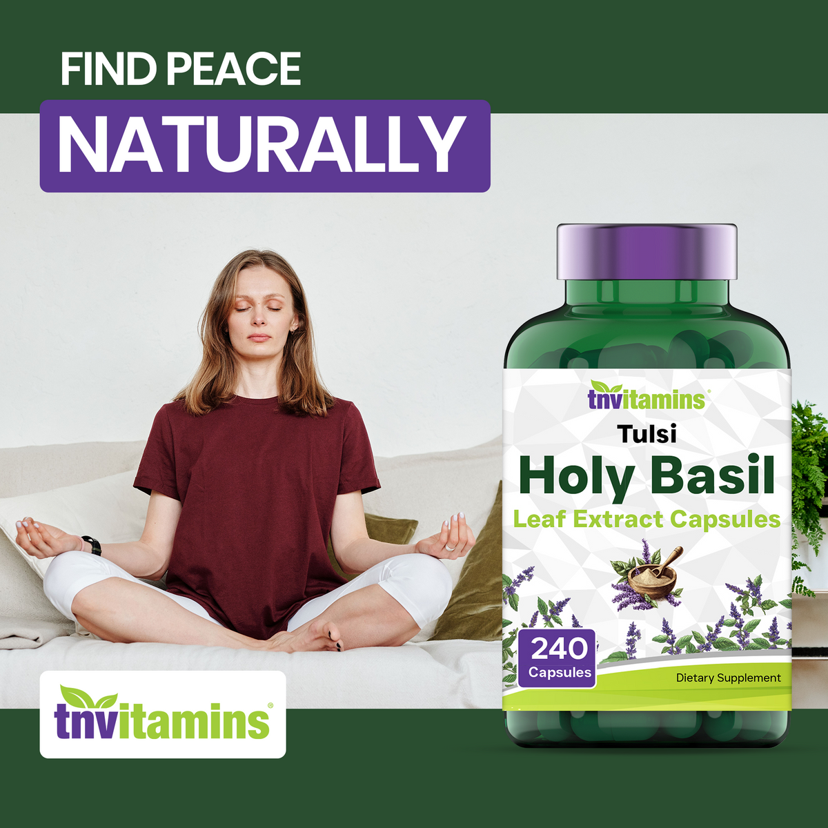 Tulsi Holy Basil Capsules (1600 MG  -  240 Capsules) | May Promote Stress & Frustration Relief* | Tulsi Holy Basil Leaf Powder Extract | Adaptogenic, & Ayurvedic Herb | TNVitamins