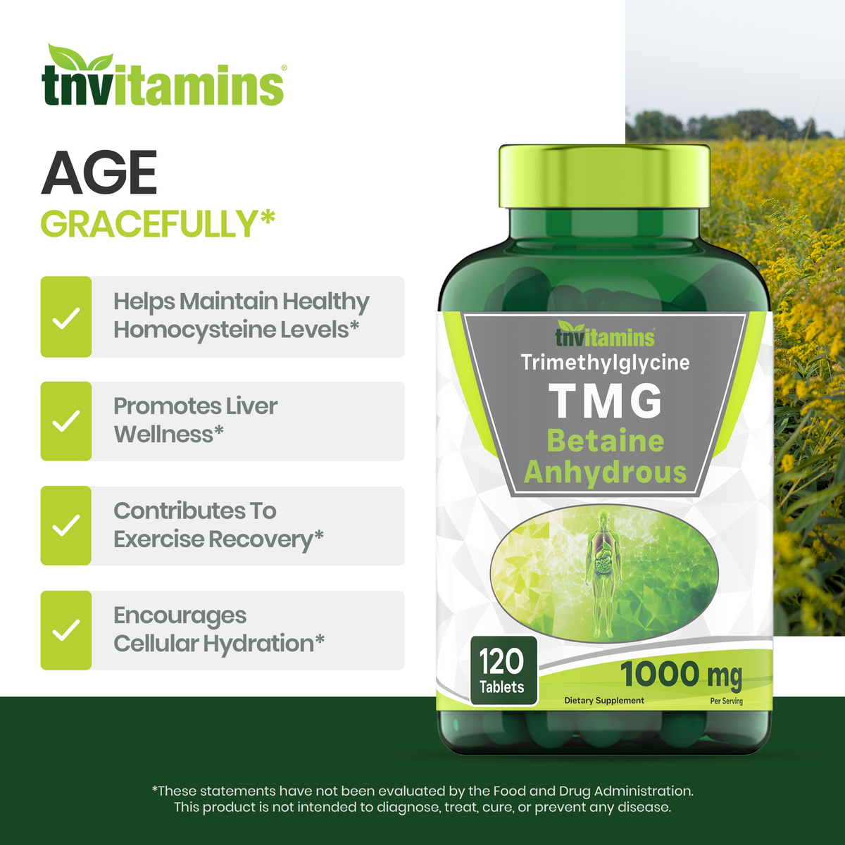 tnvitamins TMG Supplement 1000mg (Betaine Anhydrous) 120 Tablets | Better Than Betaine HCL* | Homocysteine Support* | Trimethylglycine | Non-GMO, Made in The USA!