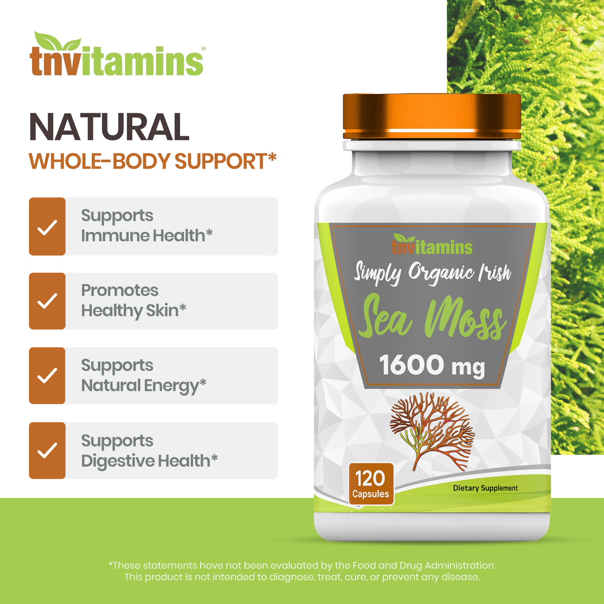tnvitamins Organic Irish Sea Moss: 1600mg x 120 Capsules | Two Month Supply Simply Organic Sea Moss Powder Capsules are Highly Potent, and Absorbable! | Non-GMO | Made in The USA!