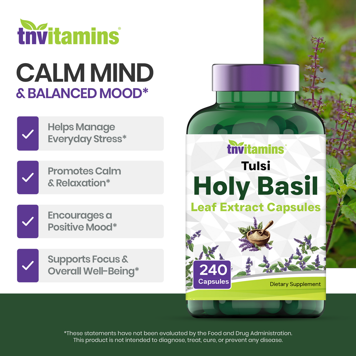 Tulsi Holy Basil Capsules (1600 MG  -  240 Capsules) | May Promote Stress & Frustration Relief* | Tulsi Holy Basil Leaf Powder Extract | Adaptogenic, & Ayurvedic Herb | TNVitamins