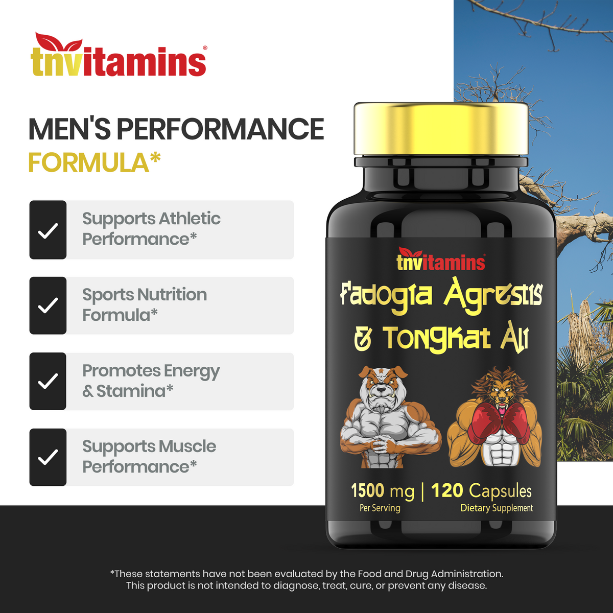 Fadogia Agrestis & Tongkat Ali Supplement: 1500mg - 120 Capsules | 750mg Each of Tongkat Ali (Longjack) & Fadogia | Ultra-Potent Formula For Men For Sports Nutrition, Athletic Performance, & Muscles*