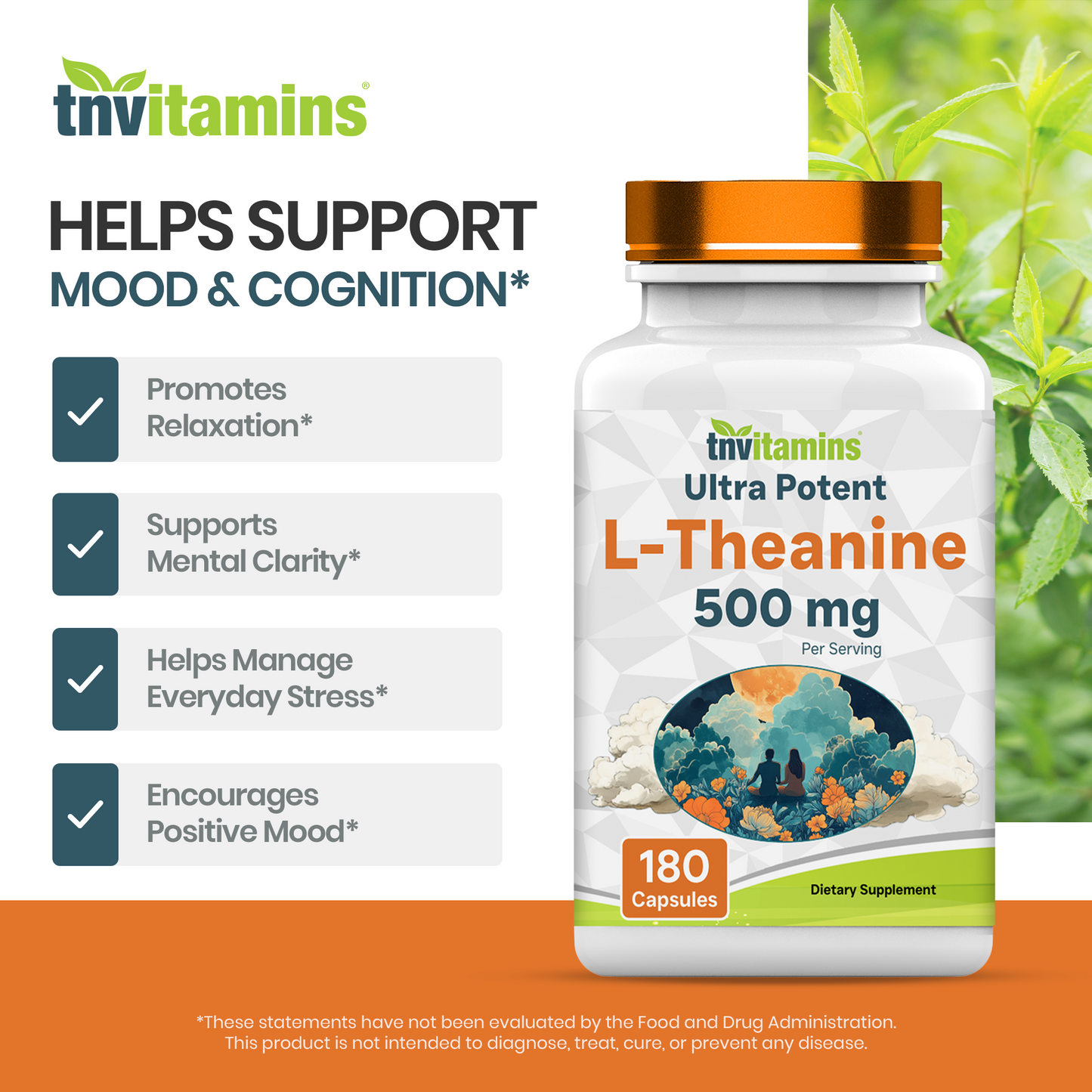 L-Theanine 500 mg Per Serving - 180 Capsules | Keep Calm, Cool, Collected, Alert, & Focused | L-Theanine Supplement May Support Mood, Brain, & Cognitive Function* | Non-GMO, Made in The USA!