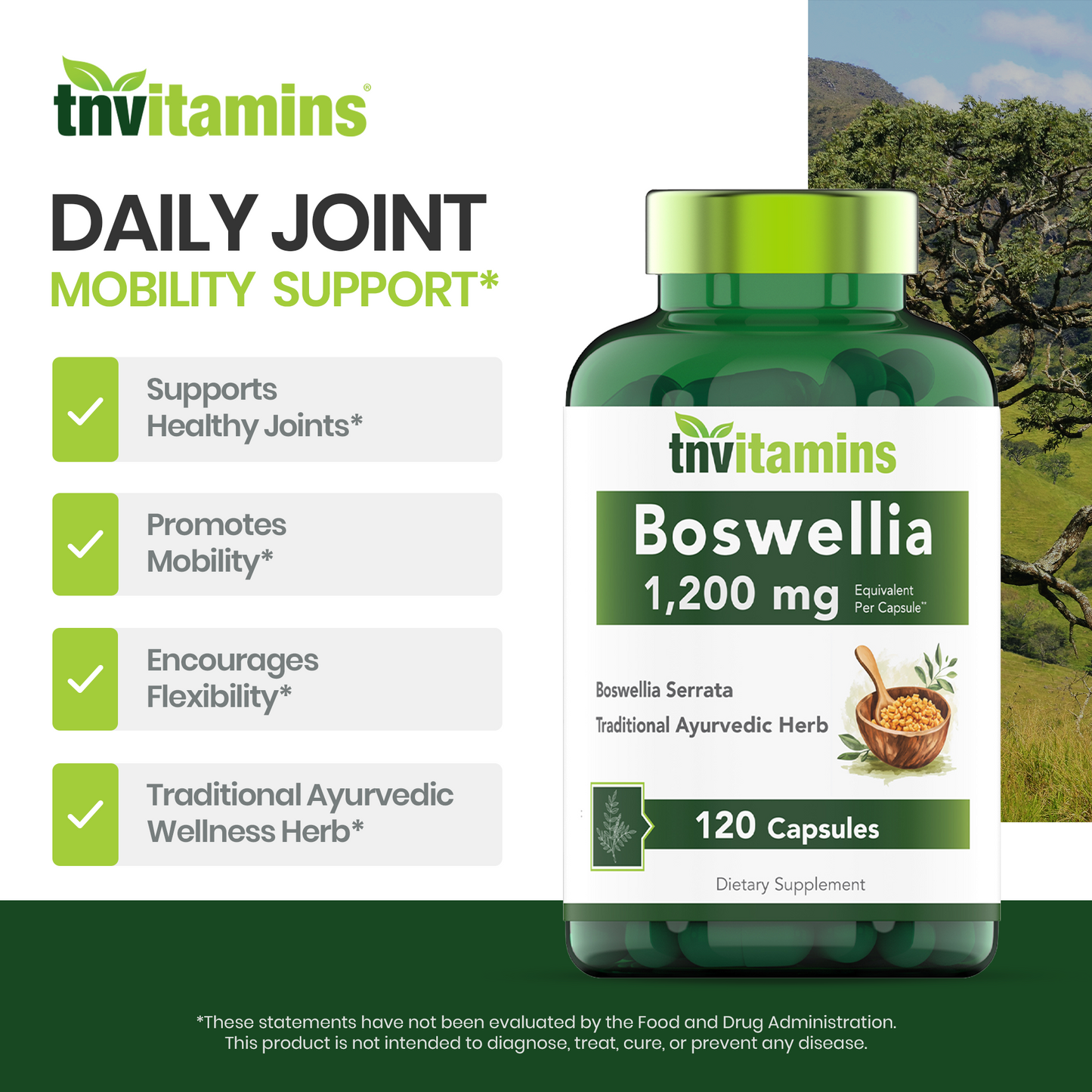 Boswellia Serrata Herbal Extract Capsules | 1200 MG/Capsule (120 Capsules) | Joint Support Supplement* | Promotes Mobility & Flexibility* | Ayurvedic Herb: Indian Olibanum/Frankincense | TNVitamins
