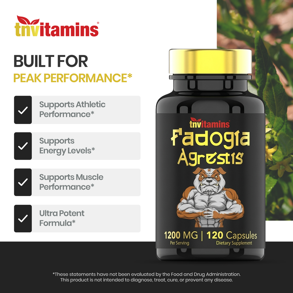 Fadogia Agrestis: 1200mg - 120 Capsules | Ultra-Potent Fadogia Agrestis Extract Supplement for Men | Energy, Power, Strength, Athletic Performance, & Sports Nutrition | Non-GMO | Made in the USA!