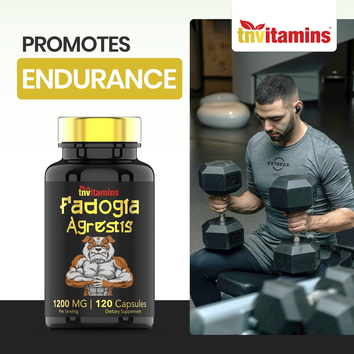 Fadogia Agrestis: 1200mg - 120 Capsules | Ultra-Potent Fadogia Agrestis Extract Supplement for Men | Energy, Power, Strength, Athletic Performance, & Sports Nutrition | Non-GMO | Made in the USA!