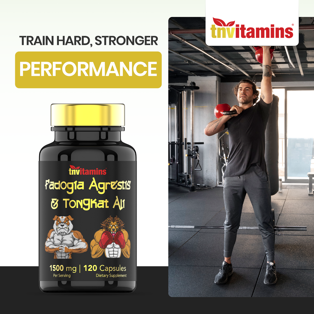 Fadogia Agrestis & Tongkat Ali Supplement: 1500mg - 120 Capsules | 750mg Each of Tongkat Ali (Longjack) & Fadogia | Ultra-Potent Formula For Men For Sports Nutrition, Athletic Performance, & Muscles*