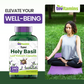 Tulsi Holy Basil Capsules (1600 MG  -  240 Capsules) | May Promote Stress & Frustration Relief* | Tulsi Holy Basil Leaf Powder Extract | Adaptogenic, & Ayurvedic Herb | TNVitamins