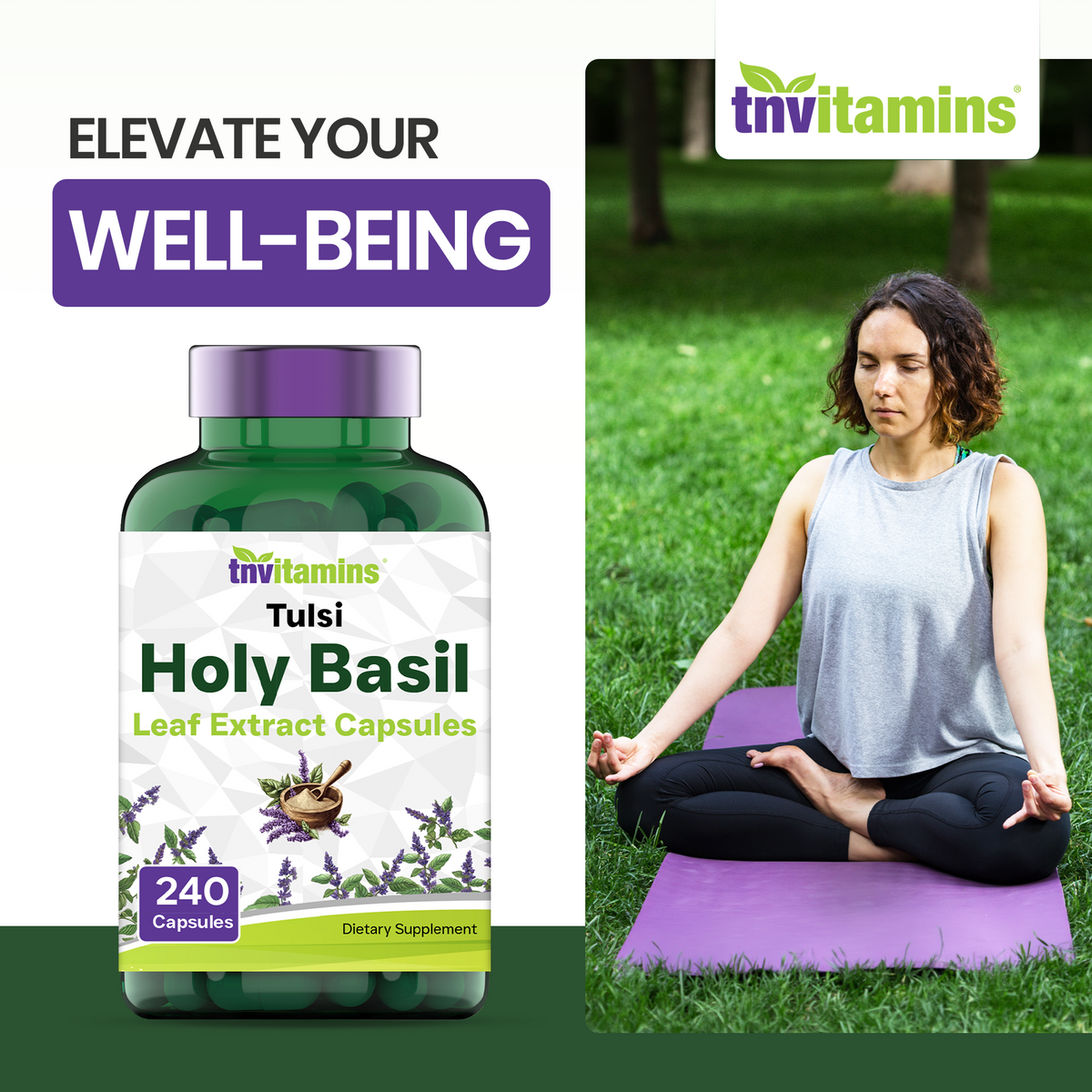 Tulsi Holy Basil Capsules (1600 MG  -  240 Capsules) | May Promote Stress & Frustration Relief* | Tulsi Holy Basil Leaf Powder Extract | Adaptogenic, & Ayurvedic Herb | TNVitamins