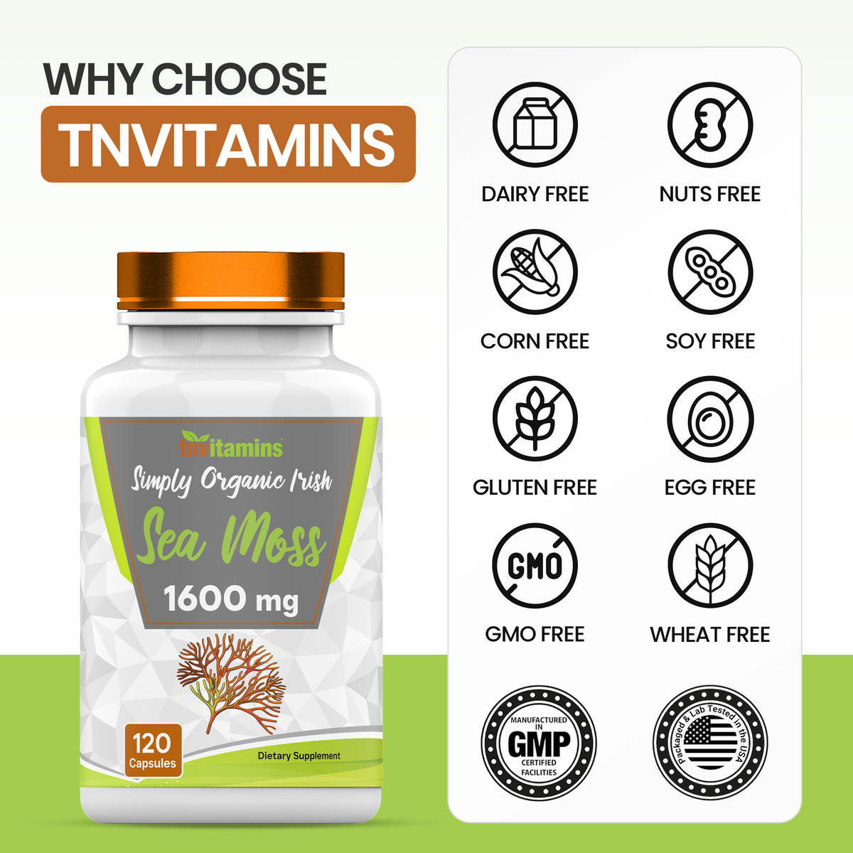 tnvitamins Organic Irish Sea Moss: 1600mg x 120 Capsules | Two Month Supply Simply Organic Sea Moss Powder Capsules are Highly Potent, and Absorbable! | Non-GMO | Made in The USA!