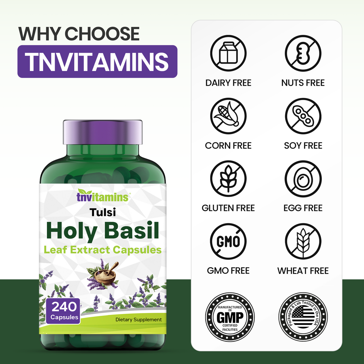 Tulsi Holy Basil Capsules (1600 MG  -  240 Capsules) | May Promote Stress & Frustration Relief* | Tulsi Holy Basil Leaf Powder Extract | Adaptogenic, & Ayurvedic Herb | TNVitamins