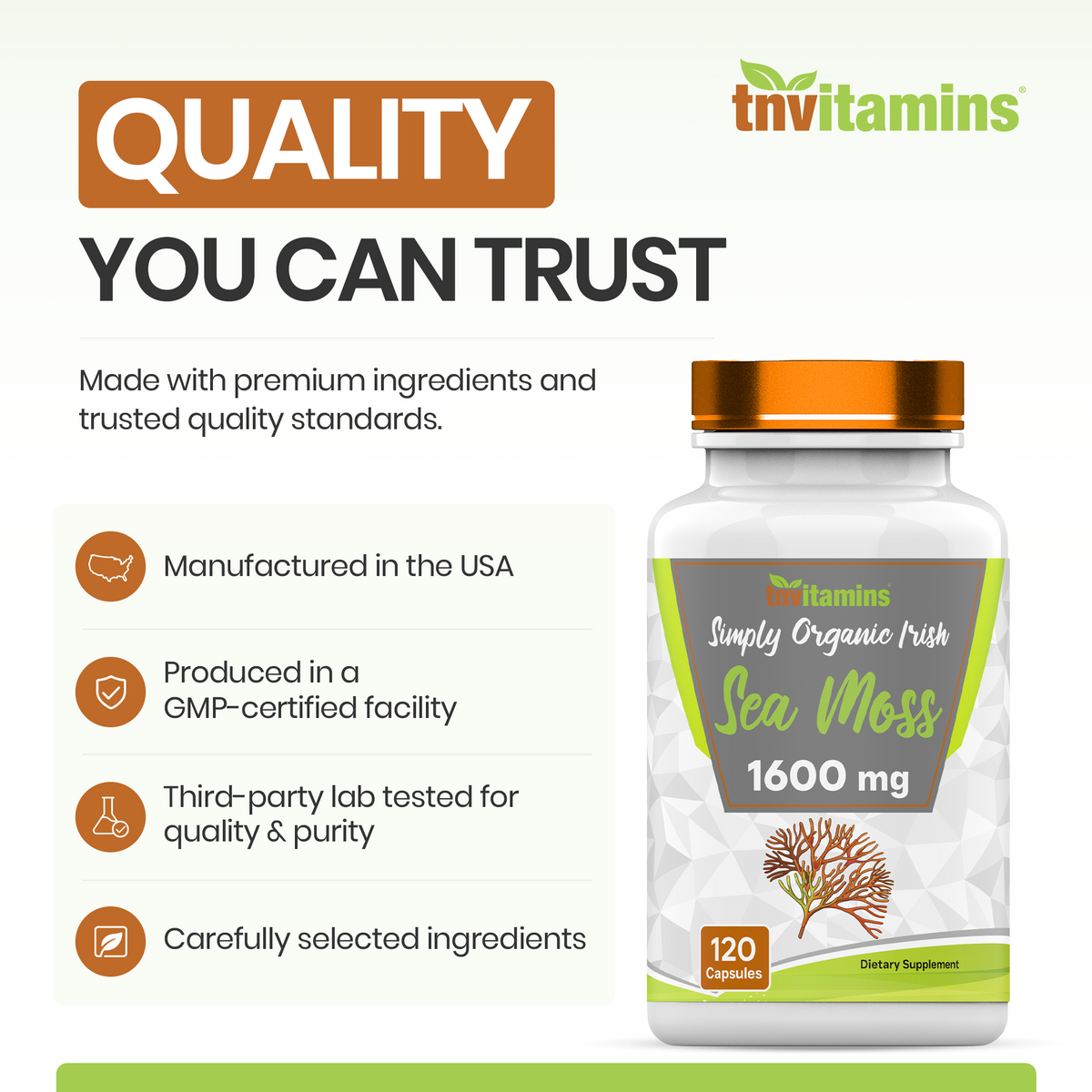 tnvitamins Organic Irish Sea Moss: 1600mg x 120 Capsules | Two Month Supply Simply Organic Sea Moss Powder Capsules are Highly Potent, and Absorbable! | Non-GMO | Made in The USA!