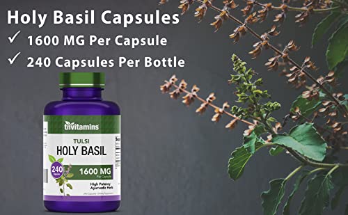 tnvitamins Holy Basil Capsules (1600 MG x 240 Capsules) | 8 Month Supply | AKA Tulsi | May Promote Stress & Frustration Relief* | Tulsi Holy Basil Leaf Extract