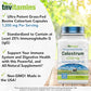 Colostrum Supplement 1,200 mg Per Serving, 120 Capsules | Standardized to 25% IgG (Immunoglobulin G) | Grass-Fed Bovine Colostrum Powder Caps | Immune Support Supplement | Non-GMO, Made in the USA!