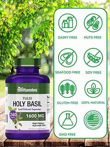 tnvitamins Holy Basil Capsules (1600 MG x 240 Capsules) | 8 Month Supp