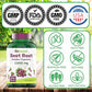 tnvitamins Beet Root Capsules 15,00 Mg Per Serving - 270 Capsules | Beet Root Powder Extract | Non-GMO & Gluten-Free | Produced in The USA