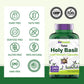 Tulsi Holy Basil Capsules (1600 MG  -  240 Capsules) | May Promote Stress & Frustration Relief* | Tulsi Holy Basil Leaf Powder Extract | Adaptogenic, & Ayurvedic Herb | TNVitamins