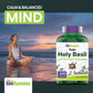 Tulsi Holy Basil Capsules (1600 MG  -  240 Capsules) | May Promote Stress & Frustration Relief* | Tulsi Holy Basil Leaf Powder Extract | Adaptogenic, & Ayurvedic Herb | TNVitamins
