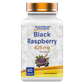 Nutritional Concepts Black Raspberry: 425mg - 60 Capsules