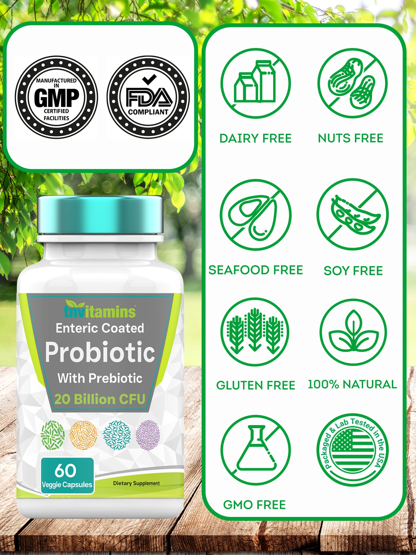 Probiotics for Women & Men with Prebiotics for Digestive Health with Acidophilus | 60 Enteric Coated Vegetarian Capsules | 20 Billion CFUs - 8 Strains | by TNVitamins