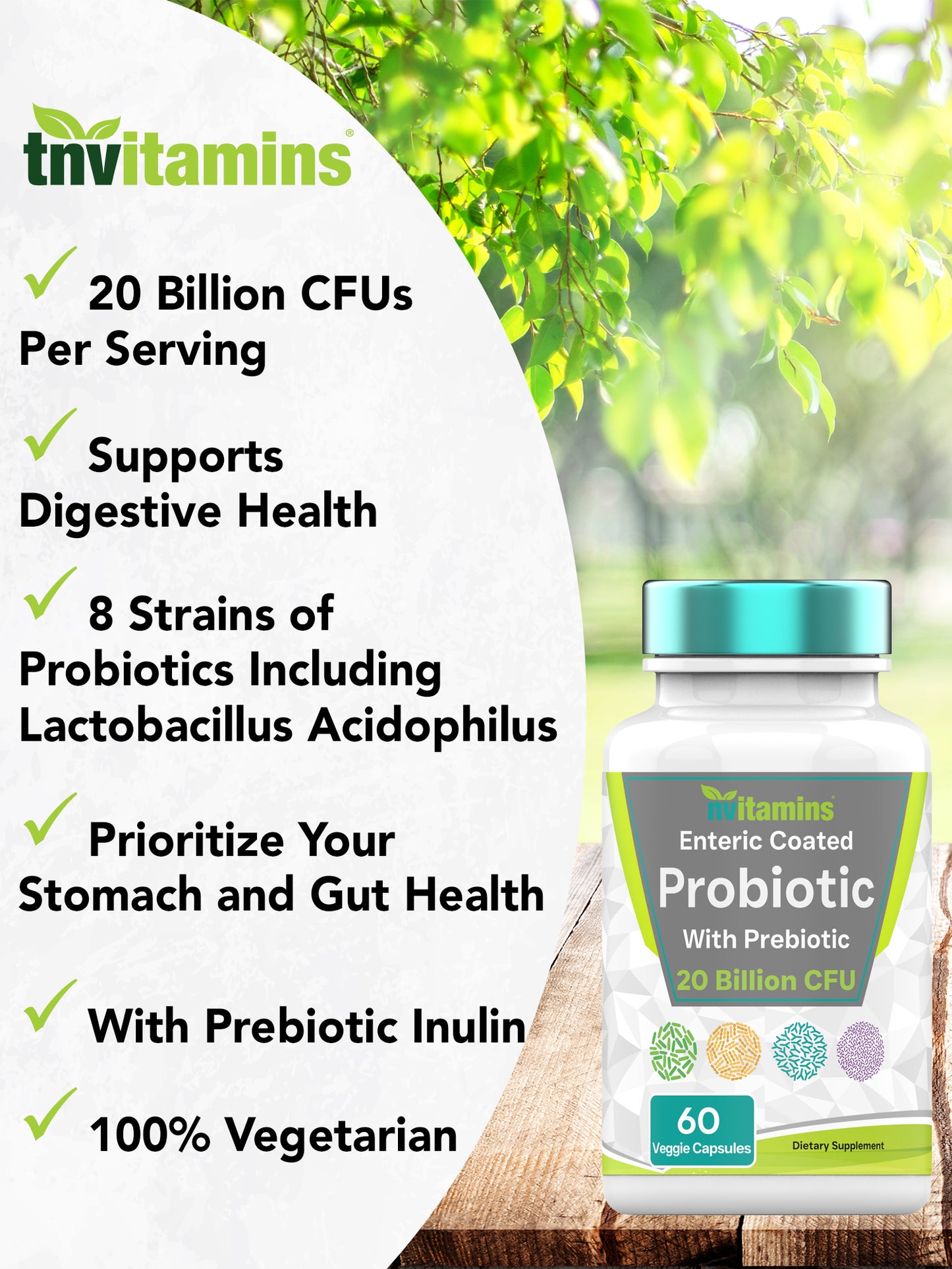 Probiotics for Women & Men with Prebiotics for Digestive Health with Acidophilus | 60 Enteric Coated Vegetarian Capsules | 20 Billion CFUs - 8 Strains | by TNVitamins