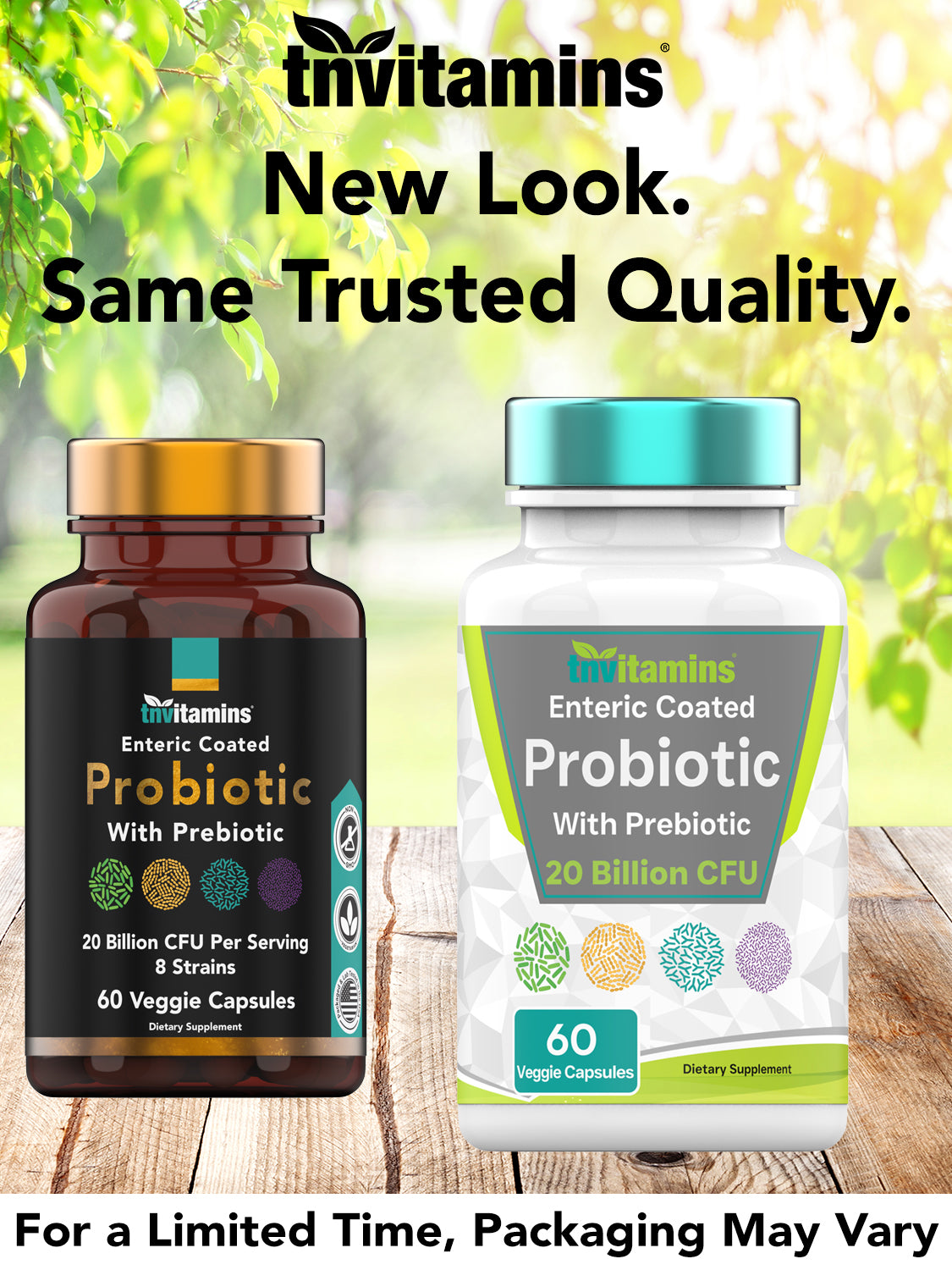 Probiotics for Women & Men with Prebiotics for Digestive Health with Acidophilus | 60 Enteric Coated Vegetarian Capsules | 20 Billion CFUs - 8 Strains | by TNVitamins