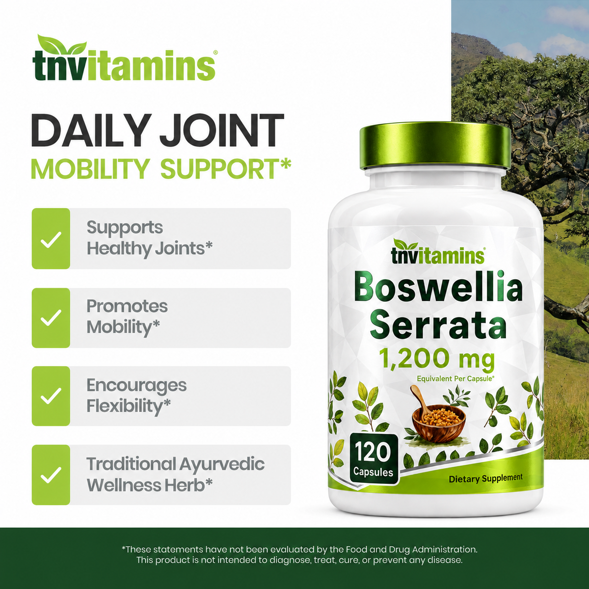 Boswellia Serrata Herbal Extract Capsules | 1200 MG/Capsule (120 Capsules) | Joint Support Supplement* | Promotes Mobility & Flexibility* | Ayurvedic Herb: Indian Olibanum/Frankincense | TNVitamins