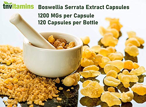 Boswellia Serrata Herbal Extract Capsules | 1200 MG/Capsule (120 Capsules) | Joint Support Supplement* | Promotes Mobility & Flexibility* | Ayurvedic Herb: Indian Olibanum/Frankincense | TNVitamins