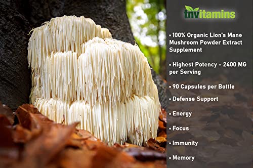 tnvitamins Lion's Mane Mushroom Supplement (2400 MG - 90 Capsules) | Nootropic Brain Support Supplement & Booster | Lion's Mane Mushroom Powder Extract | Focus, Memory, Energy, & Immunity