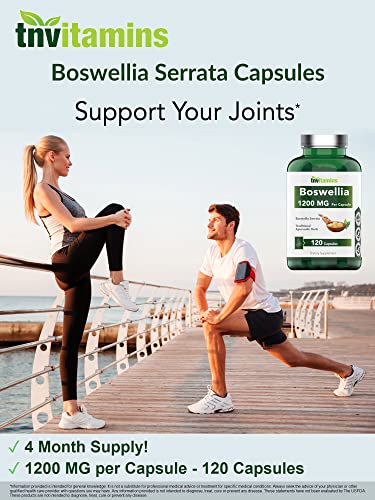 Boswellia Serrata Herbal Extract Capsules | 1200 MG/Capsule (120 Capsules) | Joint Support Supplement* | Promotes Mobility & Flexibility* | Ayurvedic Herb: Indian Olibanum/Frankincense | TNVitamins