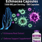 Echinacea Capsules (1500 MG x 180 Capsules) | Supports Health & Well-Being | Echinacea Root Herbal Extract Supplement | Produced in The USA | TNVitamins